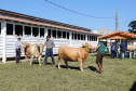 Veterinários do setor privado devem se recadastrar na Adapar, em novembro   -  Foto: Geraldo Bubniak/AEN
