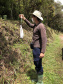 Uma equipe de biólogos que atua nos estudos exigidos pelo projeto da Nova Ferroeste iniciou na semana passada a quarta e última campanha da fauna, que faz o levantamento e identificação das espécies existentes nas áreas do traçado da ferrovia. Espécies endêmicas de anfíbios, anta, onça-parda, aves e animais ameaçados de extinção foram identificados na Serra do Mar, onde foram realizados os trabalhos.Foto: Heloísa Vieira/AEN