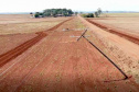 MARINGÁ - Os temporais que castigaram as regiões Sudoeste, Oeste, Noroeste e Norte do Paraná no mês de outubro já causaram, somados, mais danos ao sistema elétrico da Copel do que o ciclone-bomba, evento climático excepcional que atingiu o Leste do Paraná em junho de 2020