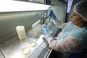 TECPAR - Laboratório de Microbiologia de Alimentos e Água - N/F: cabine de segurança biológica.Curitiba, 02-09-19.Foto: Arnaldo Alves / ANPr.