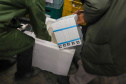 Mais 193 mil vacinas da Pfizer chegaram ao Paraná nesta sexta-feira  Foto: Ari Dias/AEN