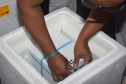 Estado recebe novas doses de vacinas contra a Covid-19 para adolescentes . Foto: Américo Antonio/SESA