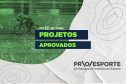 A Superintendência Geral do Esporte do Paraná e a Comissão do Programa Estadual de Fomento e Incentivo ao Esporte (CPROESPORTE) tornam público a conclusão da etapa de seleção de projetos referente ao Edital 01/2020 do PROESPORTE. - Curitiba, 04/11/2021 - Foto/Arte: Paraná Esporte