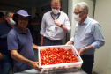 Entrega de pavimentação de estrada rural e de máquinas, caminhão e equipamentos para cooperativas de agricultura familiar, inauguração de cozinha comunitária. Estas foram algumas das ações dos secretários estaduais da Agricultura e do Abastecimento, Norberto Ortigara, e do Planejamento e Projetos Estruturantes, Valdemar Bernardo Jorge, na semana passada na região do Norte Pioneiro. - Curitiba, 08/11/2021 - Foto: SEAB