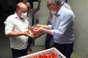 Entrega de pavimentação de estrada rural e de máquinas, caminhão e equipamentos para cooperativas de agricultura familiar, inauguração de cozinha comunitária. Estas foram algumas das ações dos secretários estaduais da Agricultura e do Abastecimento, Norberto Ortigara, e do Planejamento e Projetos Estruturantes, Valdemar Bernardo Jorge, na semana passada na região do Norte Pioneiro. - Curitiba, 08/11/2021 - Foto: SEAB