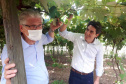 Entrega de pavimentação de estrada rural e de máquinas, caminhão e equipamentos para cooperativas de agricultura familiar, inauguração de cozinha comunitária. Estas foram algumas das ações dos secretários estaduais da Agricultura e do Abastecimento, Norberto Ortigara, e do Planejamento e Projetos Estruturantes, Valdemar Bernardo Jorge, na semana passada na região do Norte Pioneiro. - Curitiba, 08/11/2021 - Foto: SEAB
