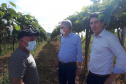 Entrega de pavimentação de estrada rural e de máquinas, caminhão e equipamentos para cooperativas de agricultura familiar, inauguração de cozinha comunitária. Estas foram algumas das ações dos secretários estaduais da Agricultura e do Abastecimento, Norberto Ortigara, e do Planejamento e Projetos Estruturantes, Valdemar Bernardo Jorge, na semana passada na região do Norte Pioneiro. - Curitiba, 08/11/2021 - Foto: SEAB