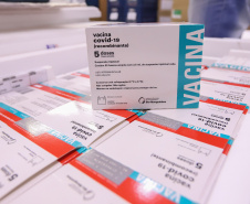 O Governo do Estado recebeu nesta sexta-feira (12), vacinas contra a Covid-19. Os imunizantes sao AstraZeneca/Fiocruz  e  Pfizer  - Curitiba, 12/11/2021 - Foto: Geraldo Bubniak/AEN