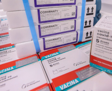 O Governo do Estado recebeu nesta sexta-feira (12), vacinas contra a Covid-19. Os imunizantes sao AstraZeneca/Fiocruz  e  Pfizer  - Curitiba, 12/11/2021 - Foto: Geraldo Bubniak/AEN