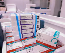 O Governo do Estado recebeu nesta sexta-feira (12), vacinas contra a Covid-19. Os imunizantes sao AstraZeneca/Fiocruz  e  Pfizer  - Curitiba, 12/11/2021 - Foto: Geraldo Bubniak/AEN