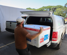 Distribuição das vacinas para regionais de saúde no Cemepar - Curitiba, 30/11/2021