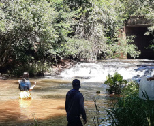 A Sanepar, o Grupo Amigos dos Rios e a Secretaria Municipal de Meio Ambiente de Cascavel farão o repovoamento dos rios Cascavel e Saltinho nesta quarta-feira (24), Dia do Rio. As ações comemorativas preveem o lançamento de sete mil peixes das espécies jundiá e lambari, nativas da bacia do Rio Iguaçu, da qual fazem parte os rios que abastecem Cascavel.  - Cascavel, 22/11/2021 - Foto: Sanepar