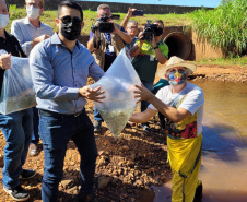 Jundiás e Lambaris são lançados em mananciais de abastecimento de Cascavel - Ação da Sanepar e parceiros visa aumentar a biodiversidade e melhorar a qualidade ambiental - Cascavel, 24/11/2021 - Foto: Sanepar