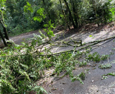 Temporal danifica estrutura do Parque Estadual Vitório Piassa, em Pato Branco - Pato Branco, 29/11/2021 - Foto: IAT