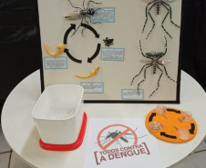 Ações em todo o Estado marcam o “Dia D” no combate à dengue. Foto:SESA