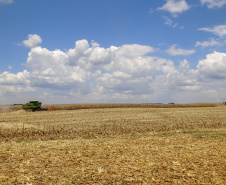Safra de verão no Paraná pode chegar a 25,61 milhões de toneladas.