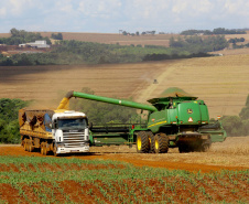 Safra de verão no Paraná pode chegar a 25,61 milhões de toneladas.