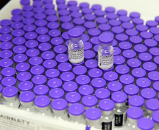 170.820 vacinas contra a Covid-19 que chegaram ao Paraná são para adolescentes . Foto: Américo Antonio/SESA