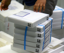 170.820 vacinas contra a Covid-19 que chegaram ao Paraná são para adolescentes . Foto: Américo Antonio/SESA