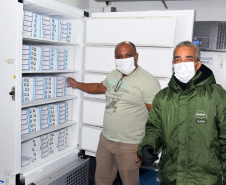170.820 vacinas contra a Covid-19 que chegaram ao Paraná são para adolescentes . Foto: Américo Antonio/SESA