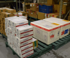 Estado distribui mais 474 mil vacinas contra a Covid-19 . Foto: Américo Antonio/SESA