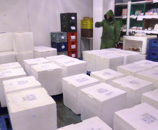 Paraná recebe 278 mil vacinas para D2, adolescentes e municípios de fronteira