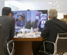 Paraná é reconhecido em grupo mundial da cadeia produtiva do fio de seda