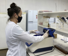 Atuação de bolsistas deverá contribuir para aumentar qualificação da pesquisa na UENP. Foto: UENP