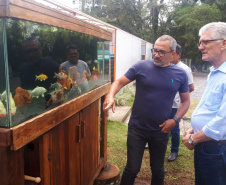 O secretário da Agricultura e do Abastecimento, Norberto Ortigara visita a Villa Peixes, em Curitiba. Foto:SEAB