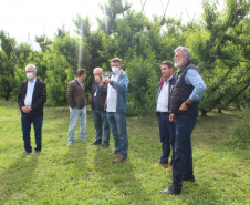 O investimento em pesquisa, em assistência técnica e extensão rural está colaborando para tornar a Lapa referência na fruticultura. A Estação Experimental do Instituto de Desenvolvimento Rural do Paraná Iapar-Emater (IDR-Paraná) no município alia tecnologia a boas práticas, e agora busca fortalecer o laço com outras cidades para incentivar a produção regional.Foto: Gisele Barão/SEAB