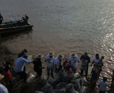 A soltura de 20 mil dourados e 200 mil lambaris no Reio Ivaí, em Mirador, no Noroeste, contou com a presença de 200 participantes do 20º Hally Fluvial SOS Rio Ivaí, neste final de semana. Os competidores foram recepcionados pelo secretário do Desenvolvimento Sustentável e do Turismo (Sedest), Márcio Nunes  -  Mirador, 14/11/2021 - Foto: Alessandro Vieira/Sedest