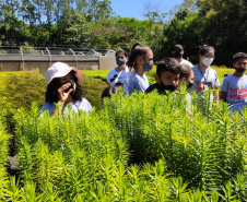 O Viveiro Florestal do Instituto Água e Terra (IAT) em Jacarezinho, no Norte Pioneiro do Estado, voltou a recepcionar estudantes pelo projeto de educação ambiental, nesta terça-feira (23). Ao todo, 34 alunos dos 4º e 5º anos do ensino fundamental da Escola Municipal Professora Ruth Pimentel Rocha tiveram a experiência de um dia no campo com atividades diferenciadas. - Jacarezinho, 23/11/2021 - Foto: IAT