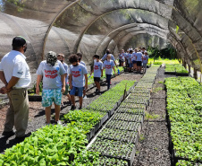 O Viveiro Florestal do Instituto Água e Terra (IAT) em Jacarezinho, no Norte Pioneiro do Estado, voltou a recepcionar estudantes pelo projeto de educação ambiental, nesta terça-feira (23). Ao todo, 34 alunos dos 4º e 5º anos do ensino fundamental da Escola Municipal Professora Ruth Pimentel Rocha tiveram a experiência de um dia no campo com atividades diferenciadas. - Jacarezinho, 23/11/2021 - Foto: IAT