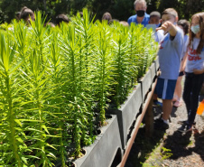 O Viveiro Florestal do Instituto Água e Terra (IAT) em Jacarezinho, no Norte Pioneiro do Estado, voltou a recepcionar estudantes pelo projeto de educação ambiental, nesta terça-feira (23). Ao todo, 34 alunos dos 4º e 5º anos do ensino fundamental da Escola Municipal Professora Ruth Pimentel Rocha tiveram a experiência de um dia no campo com atividades diferenciadas. - Jacarezinho, 23/11/2021 - Foto: IAT