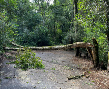 Temporal danifica estrutura do Parque Estadual Vitório Piassa, em Pato Branco - Pato Branco, 29/11/2021 - Foto: IAT