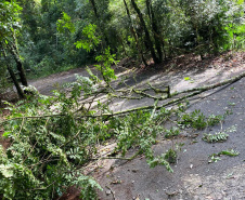 Temporal danifica estrutura do Parque Estadual Vitório Piassa, em Pato Branco - Pato Branco, 29/11/2021 - Foto: IAT