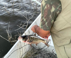 Em força-tarefa, o Instituto Água e Terra (IAT) apreendeu equipamentos de pesca irregular e se deparou com crimes ambientais ao longo da Represa do Capivari, em Campina Grande do Sul, na Região Metropolitana de Curitiba (RMC). - Curitiba, 19/11/2021 - Foto: IAT