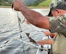 Em força-tarefa, o Instituto Água e Terra (IAT) apreendeu equipamentos de pesca irregular e se deparou com crimes ambientais ao longo da Represa do Capivari, em Campina Grande do Sul, na Região Metropolitana de Curitiba (RMC). - Curitiba, 19/11/2021 - Foto: IAT