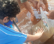 Com apoio do Estado e educação ambiental, competição de pesca ajuda Apaes no Norte do Estado