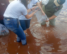 Com apoio do Estado e educação ambiental, competição de pesca ajuda Apaes no Norte do Estado