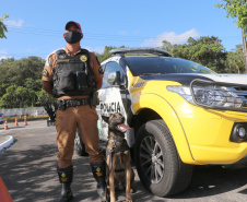 Polícia Militar aplica cães de faro contra o tráfico de drogas no Litoral