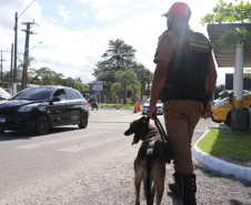 Polícia Militar aplica cães de faro contra o tráfico de drogas no Litoral