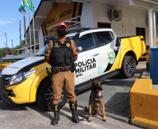 Polícia Militar aplica cães de faro contra o tráfico de drogas no Litoral