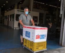 Distribuição de vacinas