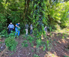 Casos de Hantavirose no Estado acionam equipes da vigilância em saúde