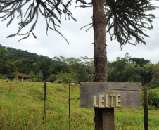 Programa Leite das Crianças leva segurança alimentar ao Vale do Ribeira