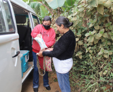 Programa Leite das Crianças leva segurança alimentar ao Vale do Ribeira