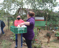 Programa Leite das Crianças leva segurança alimentar ao Vale do Ribeira