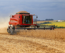 Boletim da Agricultura aponta que plantio de soja já alcança quase 5,6 milhões de hectares