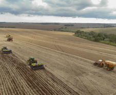 Boletim da Agricultura aponta que plantio de soja já alcança quase 5,6 milhões de hectares